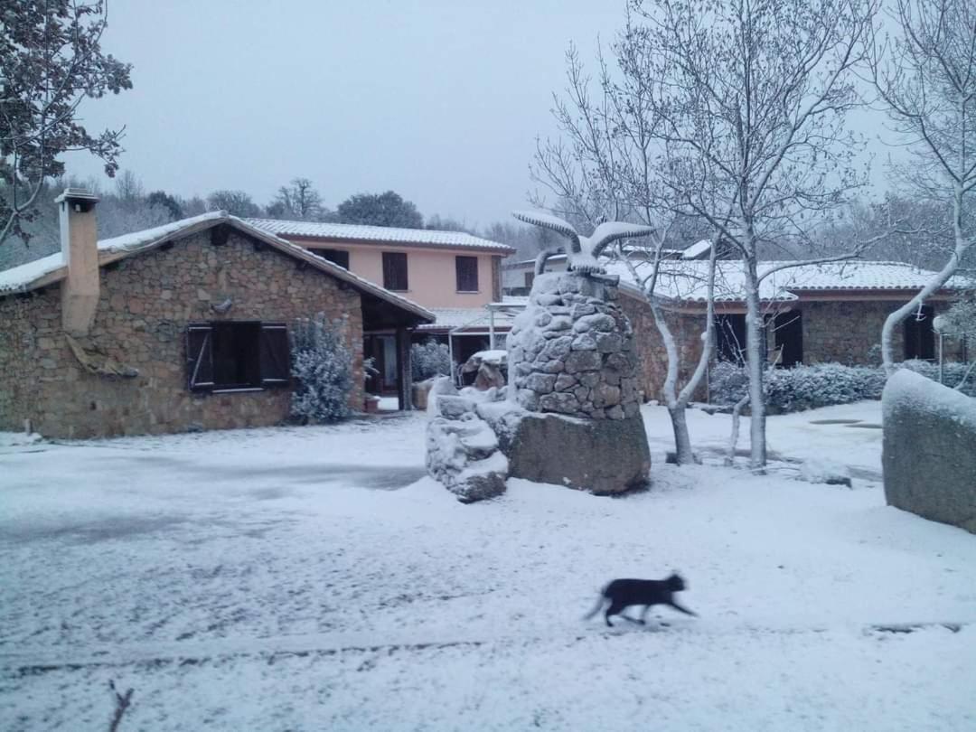 Hotel Il Nido Dell'Aquila Villanova Strisaili Buitenkant foto